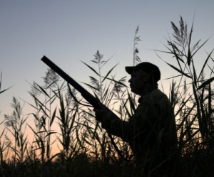 Chinese firms go hunting for gold mines overseas