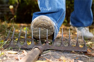 credit crisis canada debt level record high two