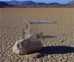 Gold miner suspends work in Nevada