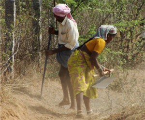 Western Potash bid rumor