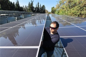 solar panel trade dispute china eu