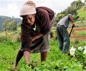 Russia-to-help-Kenya-get-fertilizer