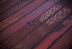 bi flyover northern territory