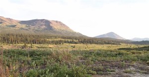 forutun mineral Mount Klappan anthracite coal project in Northern British Colombia