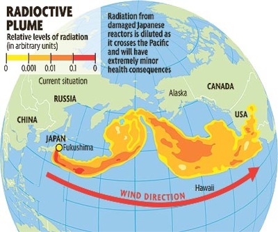 Fukushima Radioactive Water Leak Chart