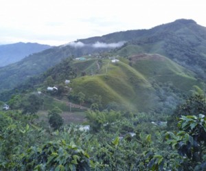 Canadian Batero Gold president and CEO leaves the firm