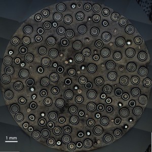 fuel-pellet-cross-section