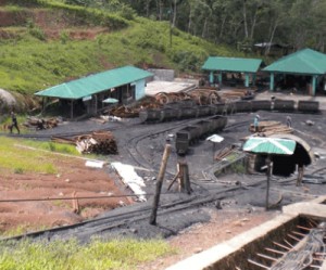 Philex Petroleum closes coal mine, executive quits