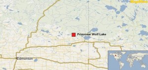 Canadian Natural Resources, Primrose oil sands