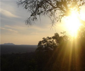 Sibanye Gold looking at solar power