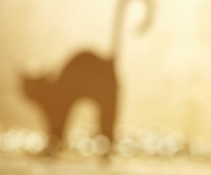 Barrick’s height of hard luck: huge lake appears at one of its biggest Aussie mines