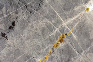 volta resources b2gold