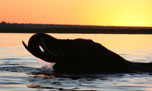 Botswana comes clean on fracking licences after documentary