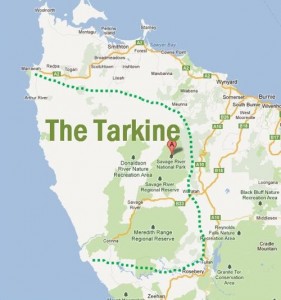 Polemic Tasmanian iron ore mine to begin operations