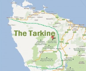 Polemic Tasmanian iron ore mine to begin operations