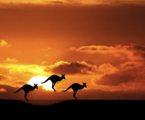 Value of Aussie iron ore miners up $65bn this year