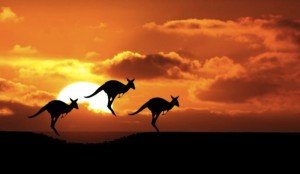 Value of Aussie iron ore miners up $65bn this year