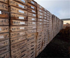 Kennady Diamonds drilling program