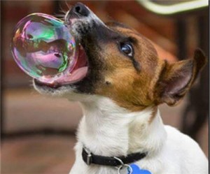 US Federal Reserve turns 100