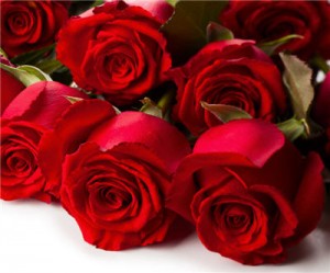 The Bachelor Canada is looking for mining bachelors