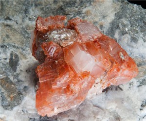 PotashCorp sees an even more difficult 2014