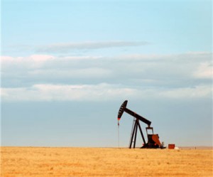 Energy commodity prices rose in 2013