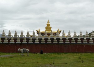 Chinese gold jewellery sales jump on year of the horse hopes