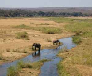 South Africa charges mining firm that polluted river at national park