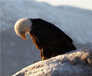 Canadian oil more cost competitive than we thought