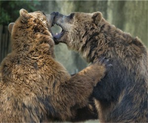 Not everyone is happy with the $29 million in LNG funding