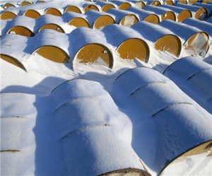 Canadian oil could fuel India