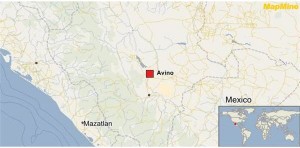 avino gold and silver two durango map