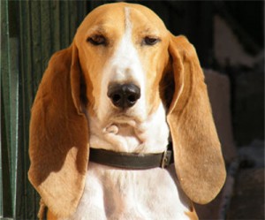 NewGold reports record-low costs