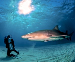 Nautilus Minerals goes hard on PNG gov't over Solwara 1 dispute