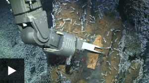 The ocean floor is rare earth miners new frontier—report