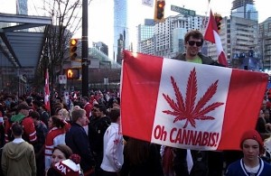 Desperate Canadian juniors turn to medical pot industry to raise funds
