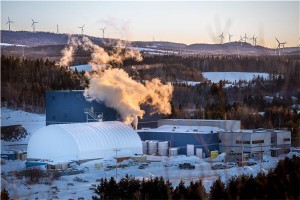 Orbite shares stage huge comeback