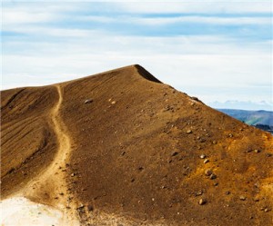 Juniors forging path forward