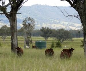 BHP wants to build world’s largest underground coal mine