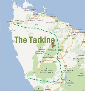 Aussie iron ore miner wins approval despite alleged risks for Tasmanian devil