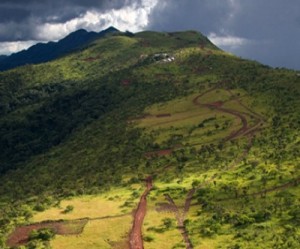 Vale mulls legal action against Guinea for revoking iron ore rights