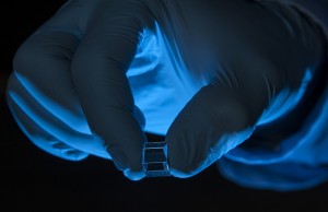 We have to talk about Fanya