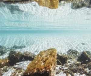 Scientists find way to extract vast amounts of rare earths from seafloor