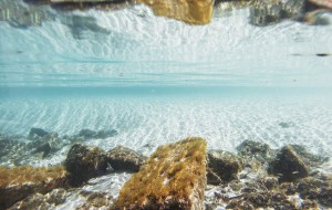 Scientists find way to extract vast amounts of rare earths from seafloor