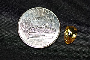 American girl gets $20K for diamond found in park