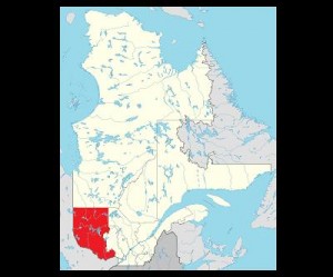 NioGold acquires remaining 40% of Malartic H property