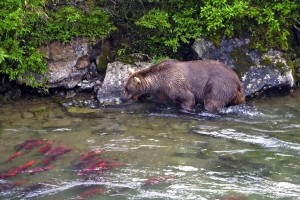EPA sued over process that could block Pebble Mine in Alaska