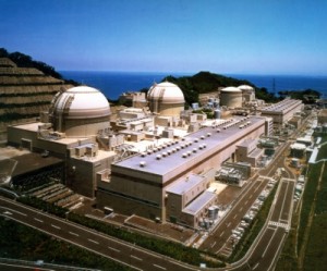 Japan not allowed restarting nuclear plant