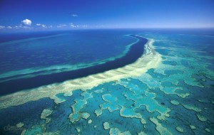 UNESCO to place Great Barrier in high risk list unless Australia steps up protection efforts