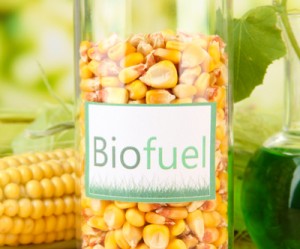 Chen bullish on ethanol, oil producers, bearish on refiners